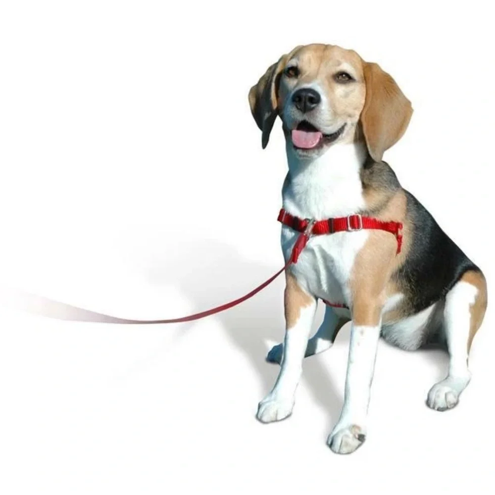 Dog‎ Training Softouch Sense-ible No Pull BLACK Harness front clip collar M/L1